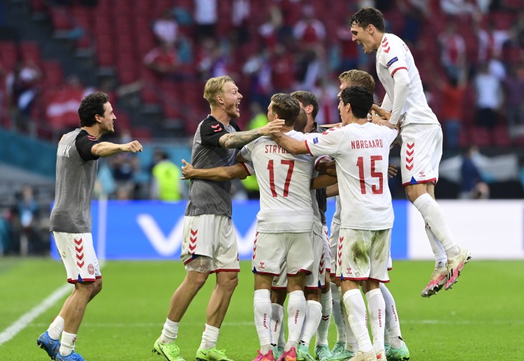 丹麦的教练的照片