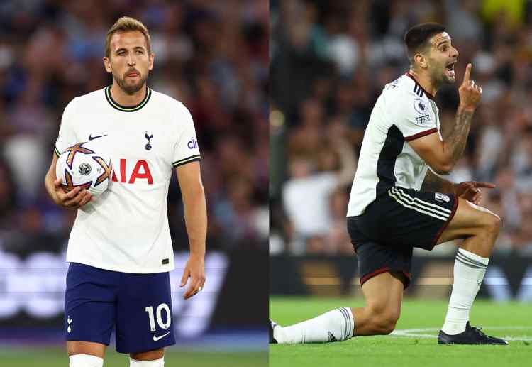 Who will be the best striker in this Premier League match to ensure their team win - Mitrovic or Kane?