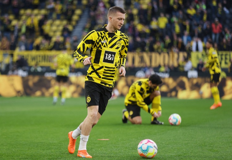 球会友谊 奋力,比赛