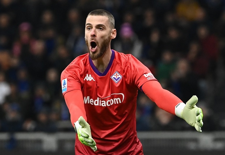 友谊赛 回归亮相