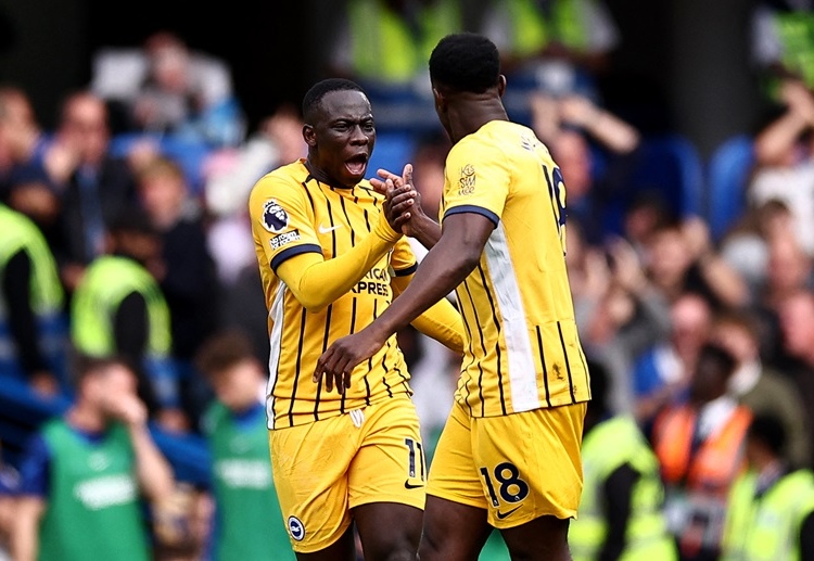 대니 웰벡은 곧 있을 뉴캐슬 유나이티드와의 프리미어리그 경기에서 브라이턴 앤 호브 알비온이 앞서게 하게 위해 노력할 것이다.