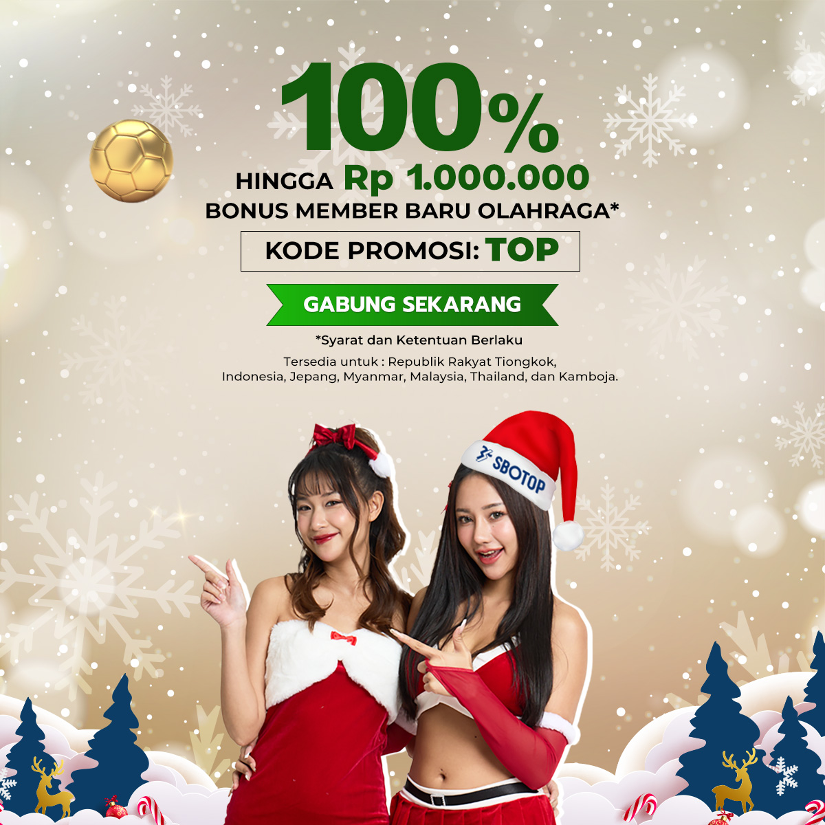 Slider 3 – Dec Xmas ID