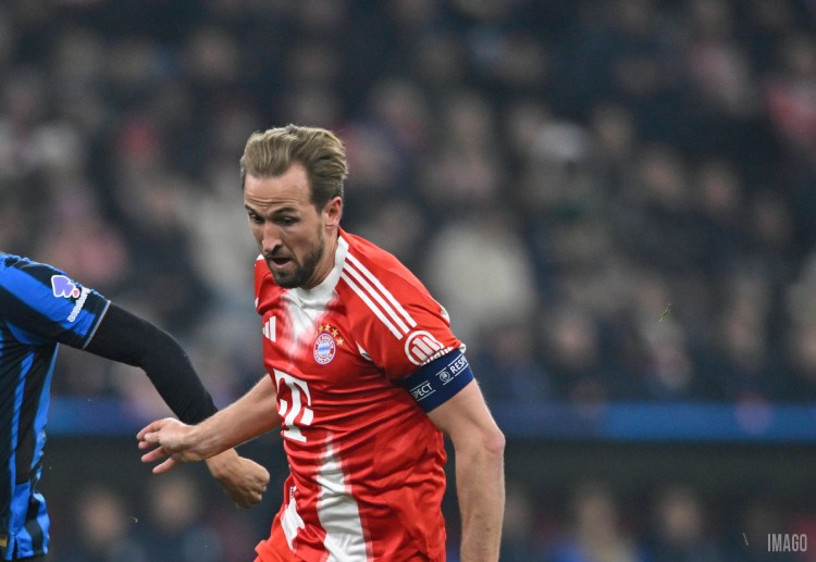 Harry Kane has already scored 10 goals in this Champions League campaign